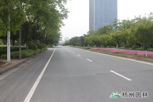 pg电子模拟器(中国)官方网站