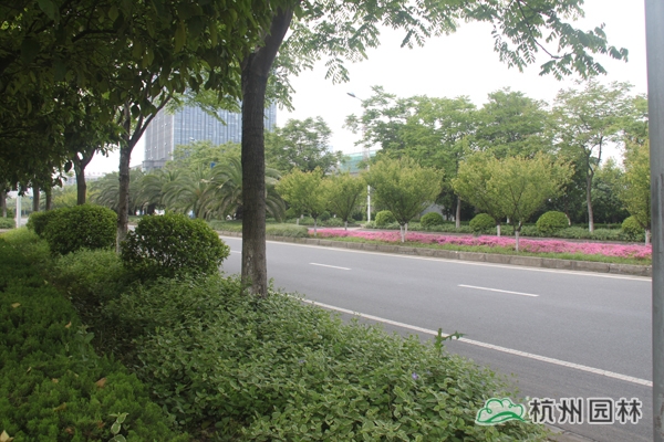 pg电子模拟器(中国)官方网站