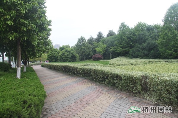 pg电子模拟器(中国)官方网站