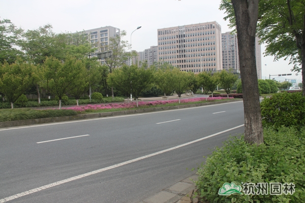 pg电子模拟器(中国)官方网站