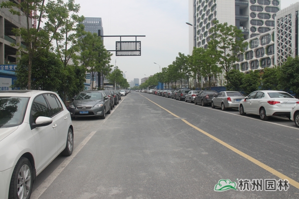 pg电子模拟器(中国)官方网站