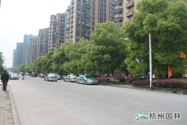pg电子模拟器(中国)官方网站