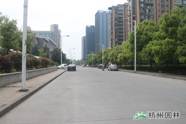 pg电子模拟器(中国)官方网站