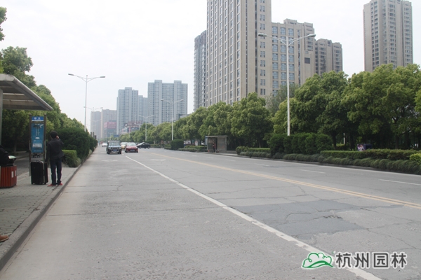 pg电子模拟器(中国)官方网站