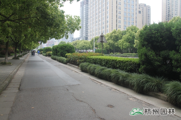 pg电子模拟器(中国)官方网站