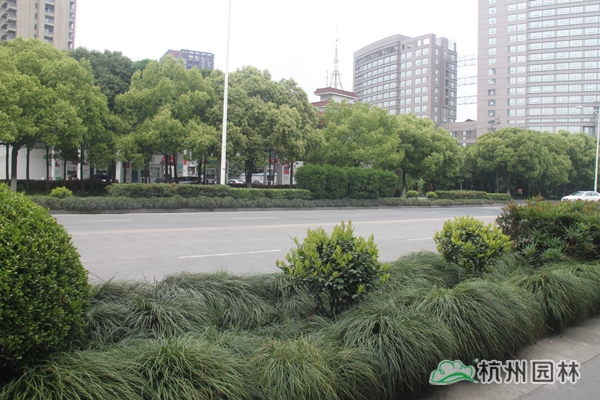 pg电子模拟器(中国)官方网站