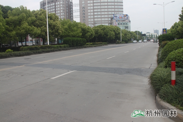 pg电子模拟器(中国)官方网站