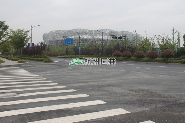 pg电子模拟器(中国)官方网站