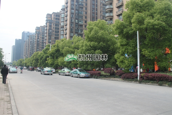 pg电子模拟器(中国)官方网站