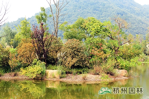 pg电子模拟器(中国)官方网站
