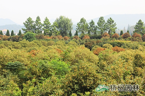 pg电子模拟器(中国)官方网站