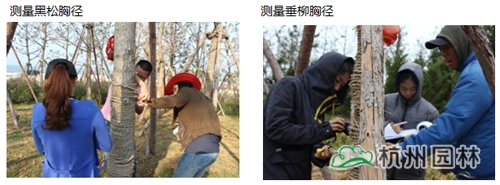 pg电子模拟器(中国)官方网站