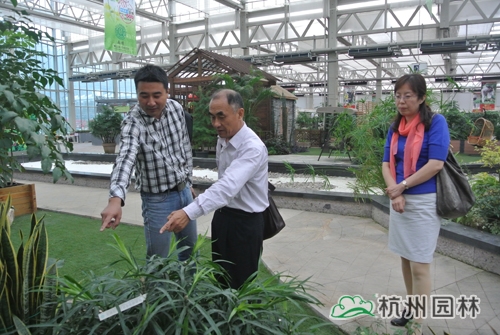 pg电子模拟器(中国)官方网站