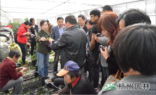 pg电子模拟器(中国)官方网站
