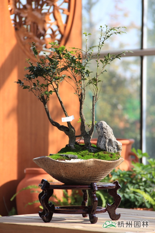 pg电子模拟器(中国)官方网站