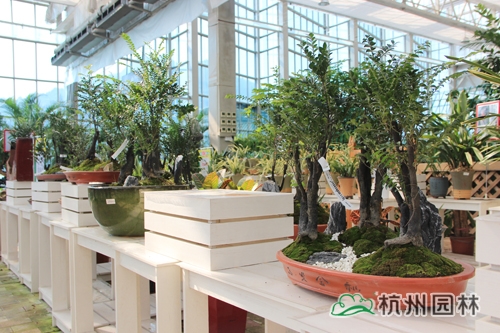 pg电子模拟器(中国)官方网站