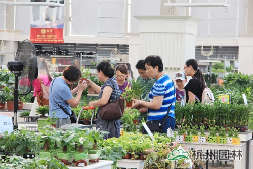 pg电子模拟器(中国)官方网站