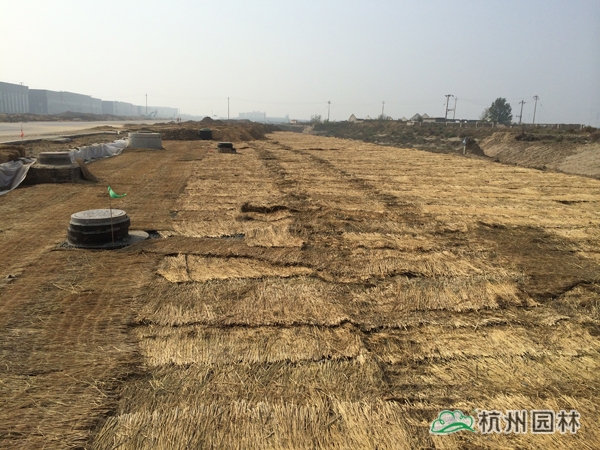 pg电子模拟器(中国)官方网站