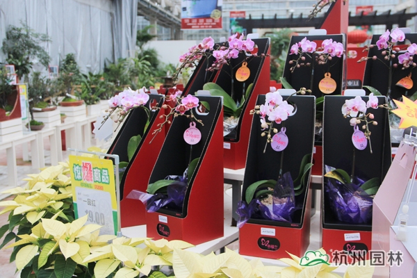 pg电子模拟器(中国)官方网站
