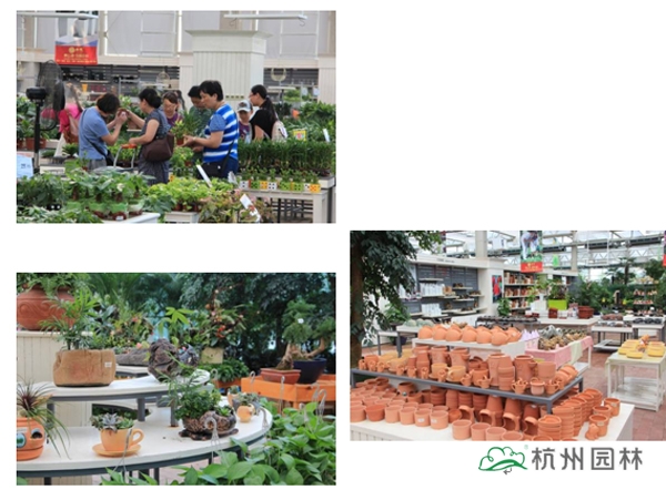 pg电子模拟器(中国)官方网站