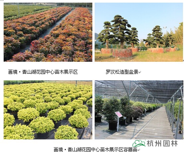 pg电子模拟器(中国)官方网站