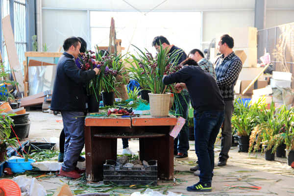 pg电子模拟器(中国)官方网站