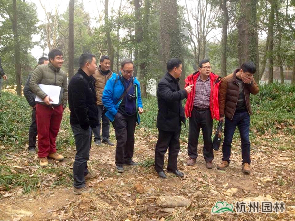 pg电子模拟器(中国)官方网站