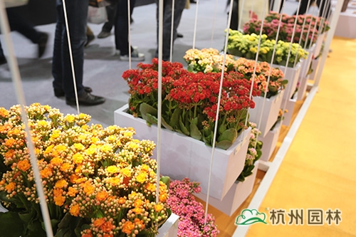 pg电子模拟器(中国)官方网站