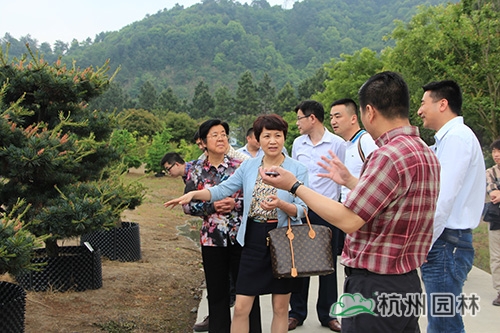 pg电子模拟器(中国)官方网站