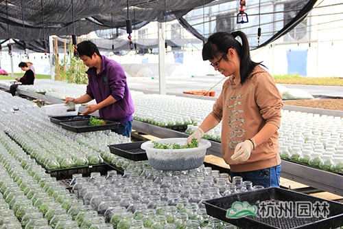 pg电子模拟器(中国)官方网站