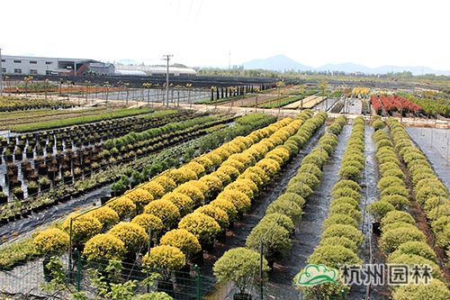 pg电子模拟器(中国)官方网站