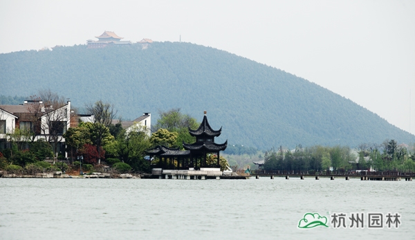 pg电子模拟器(中国)官方网站