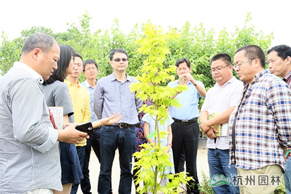 pg电子模拟器(中国)官方网站