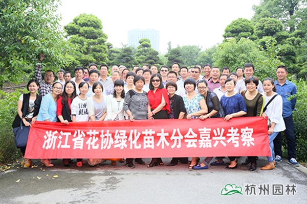 pg电子模拟器(中国)官方网站
