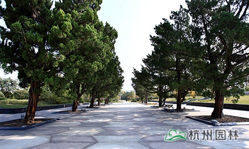 pg电子模拟器(中国)官方网站