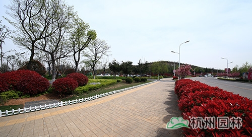 pg电子模拟器(中国)官方网站