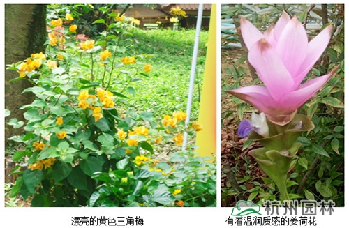 pg电子模拟器(中国)官方网站