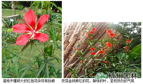 pg电子模拟器(中国)官方网站