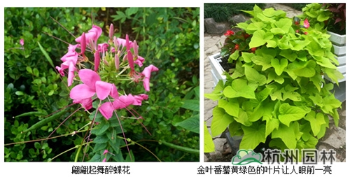 pg电子模拟器(中国)官方网站
