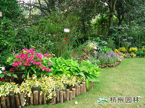 pg电子模拟器(中国)官方网站