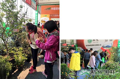 pg电子模拟器(中国)官方网站