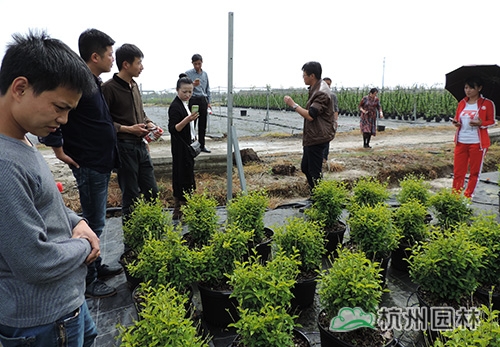 pg电子模拟器(中国)官方网站
