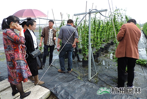 pg电子模拟器(中国)官方网站