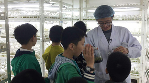 pg电子模拟器(中国)官方网站