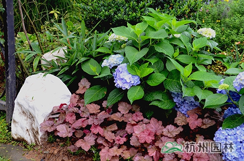 pg电子模拟器(中国)官方网站