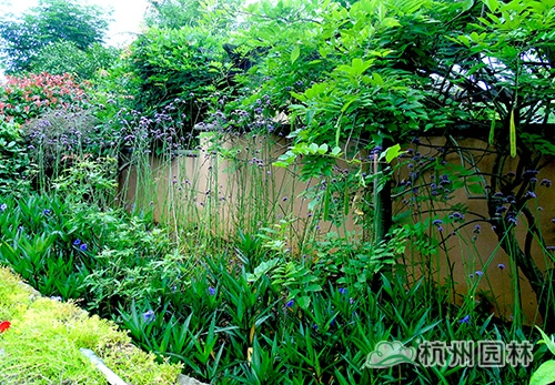 pg电子模拟器(中国)官方网站
