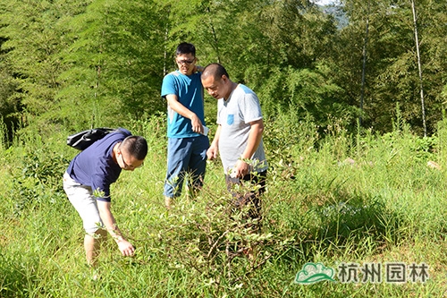pg电子模拟器(中国)官方网站