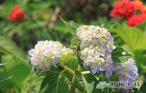 pg电子模拟器(中国)官方网站