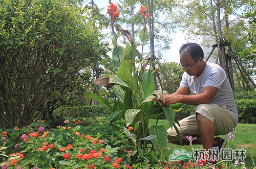 pg电子模拟器(中国)官方网站