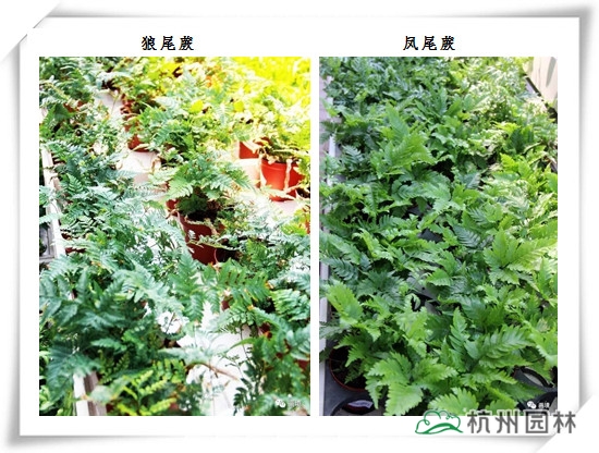pg电子模拟器(中国)官方网站